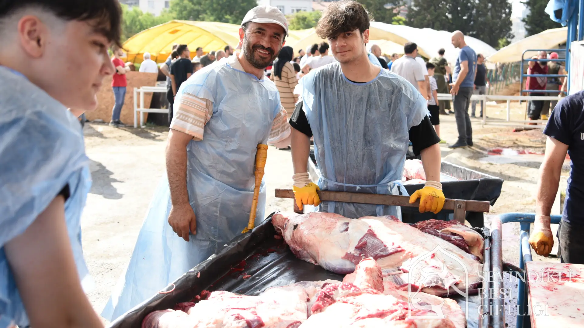 Profesyonel kesim ekibimiz