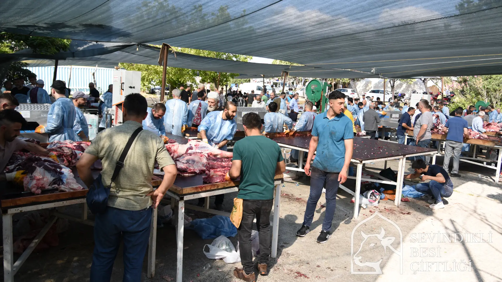 Profesyonel parçalama hizmeti