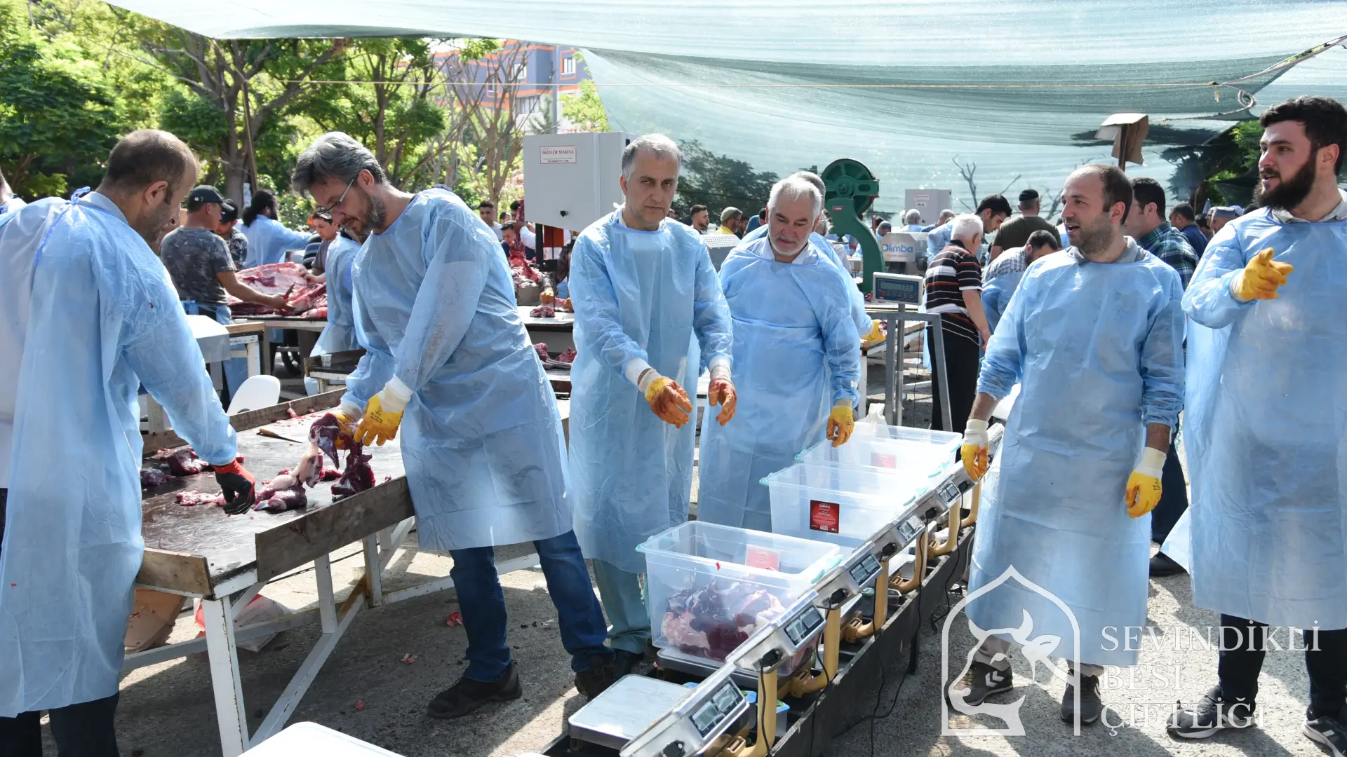 Kurban etleri paketleme