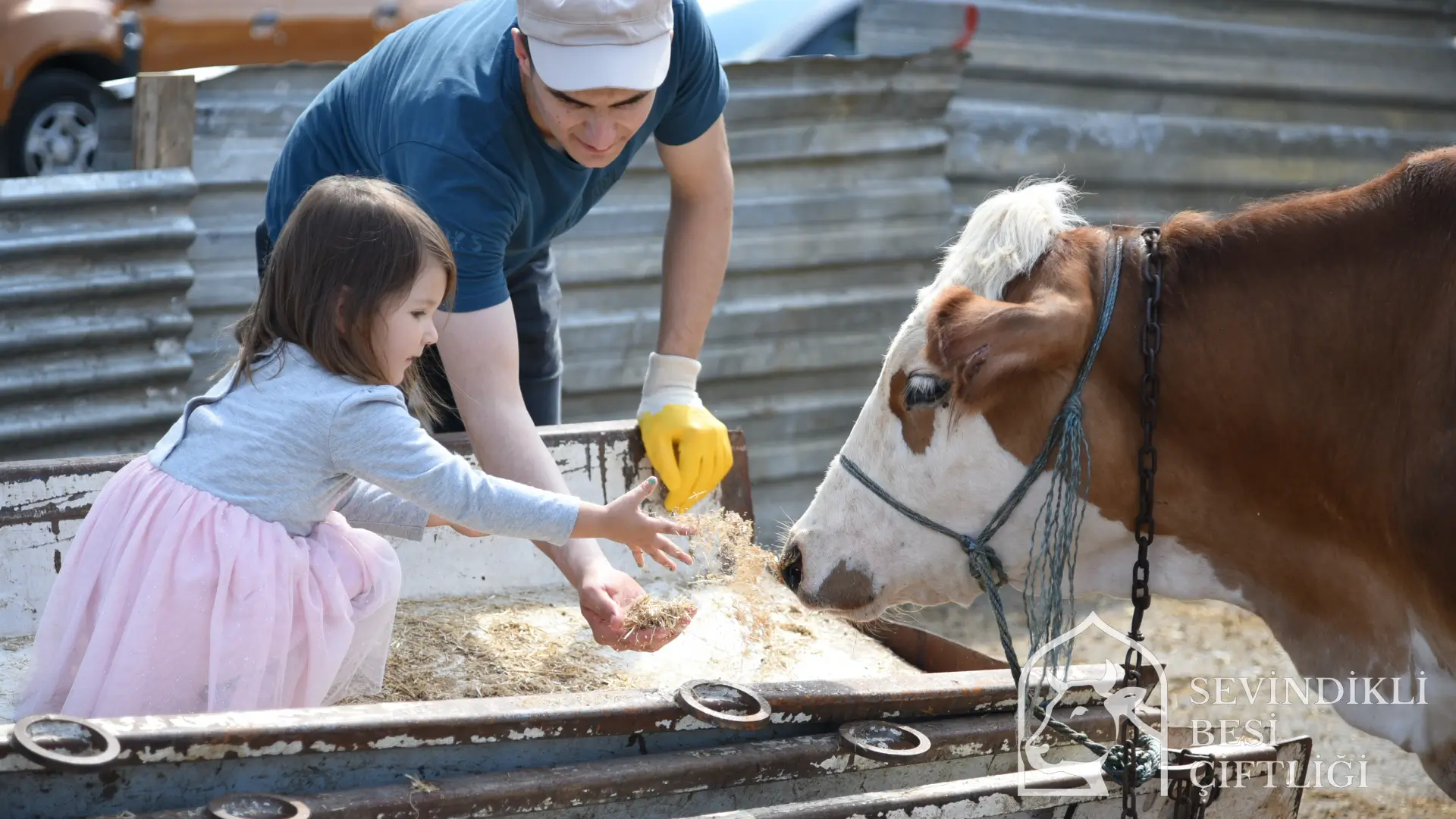 Çocuklara Özel Alan